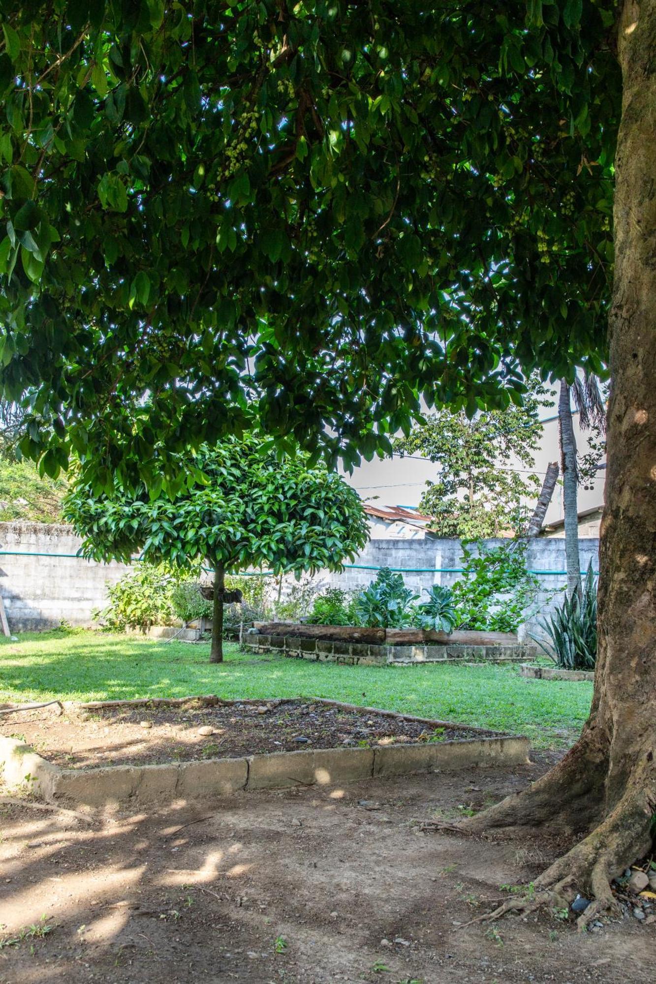 Cabanas Los Almendros Capurgana Exterior photo